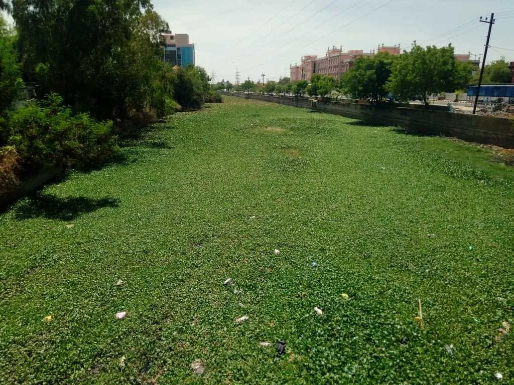 Sewage mixing in the canal in Udayakonda ;chief minister  was the first to acknowledge the truth in the assembly!